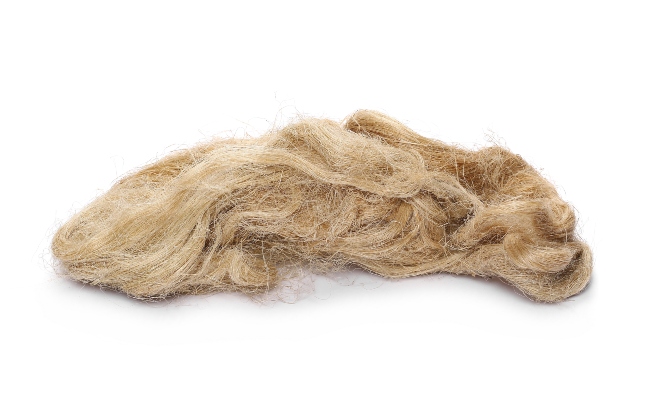 fibra de lino